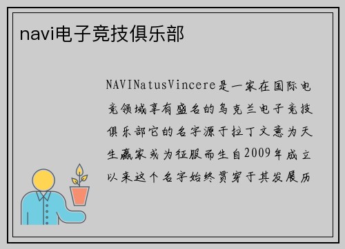navi电子竞技俱乐部